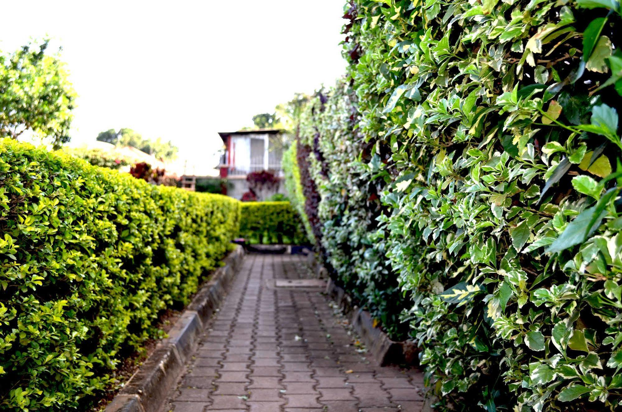 Areba Hotel Entebbe Exterior photo